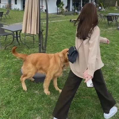 灯红酒绿杀人夜